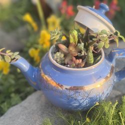 Vintage Gold Played Teapot Succulent Plant Arrangement 