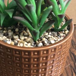 artificial succulent plant With 5”  dia X 4” High