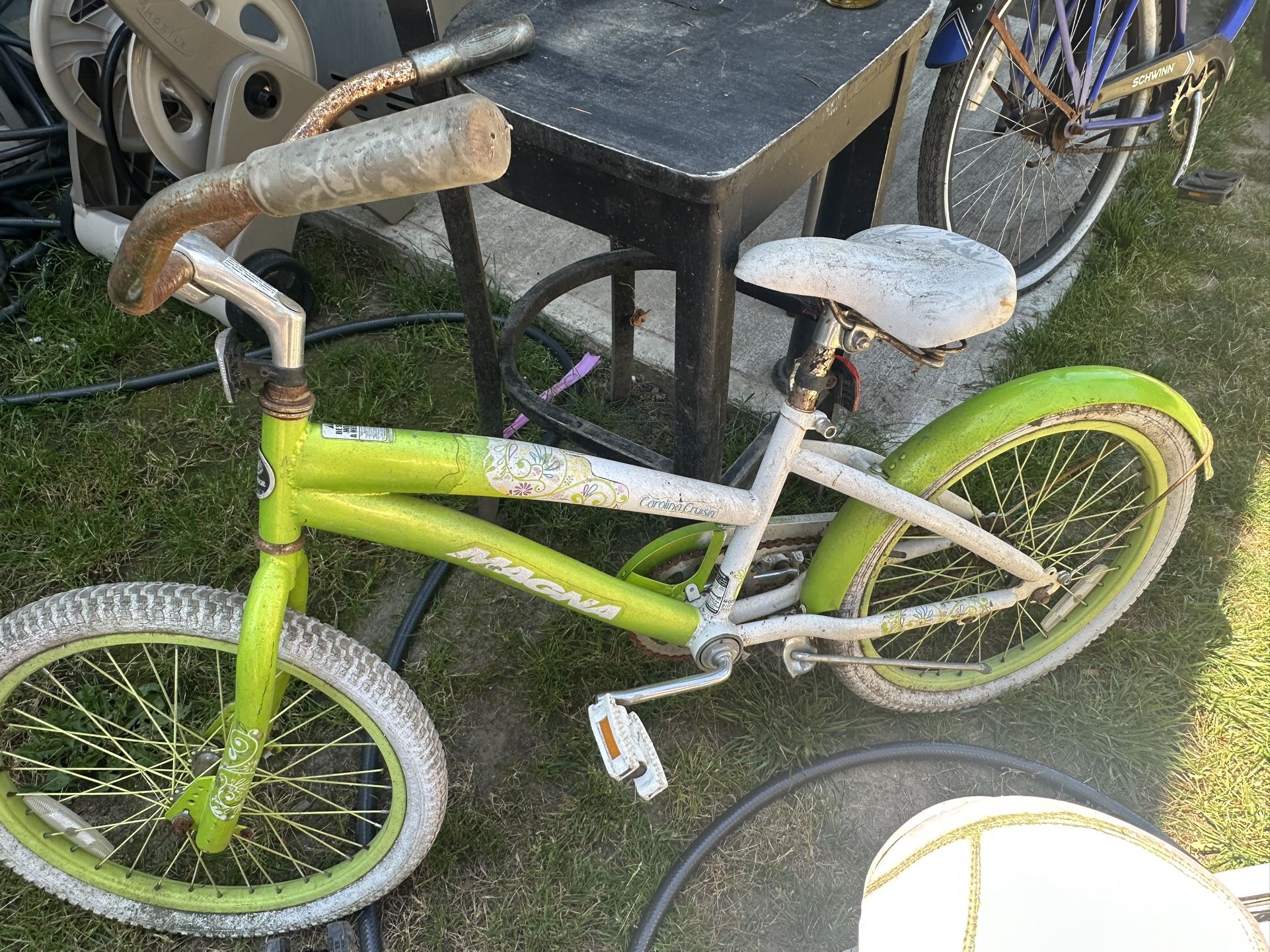 Free Bike