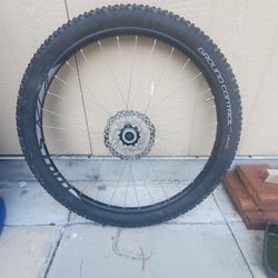 Specialized Rim & Tire