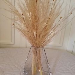 pampas grass