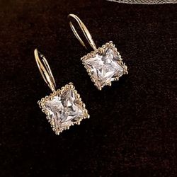 Gorgeous Earrings 