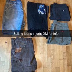 INDAVISUAL PANTS IN BIO