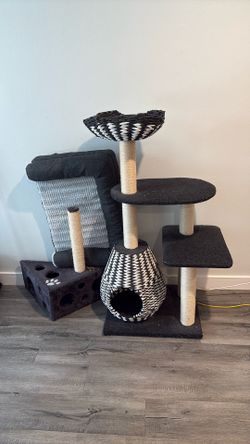 Cat Bundle
