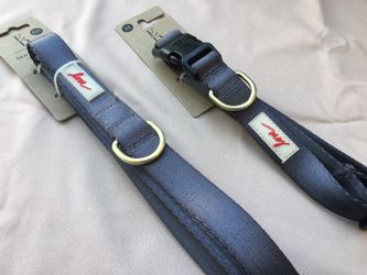 Dog collar and leash