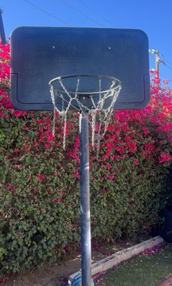 Basketball Hoop