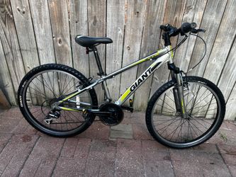 GIANT XTC WHEELS 24”