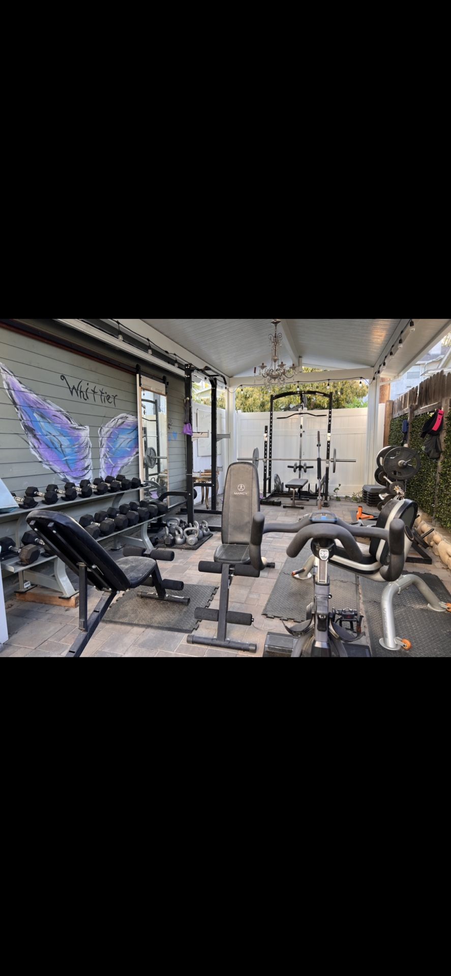 Free Weights Gym Equipment