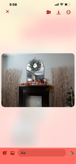 Beautiful bamboo