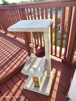 Cat Tower