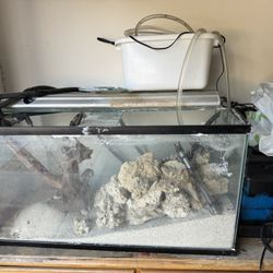 40 Gallon Tall Fish Tank and canister filter