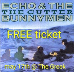 FREE echo & the bunnymen