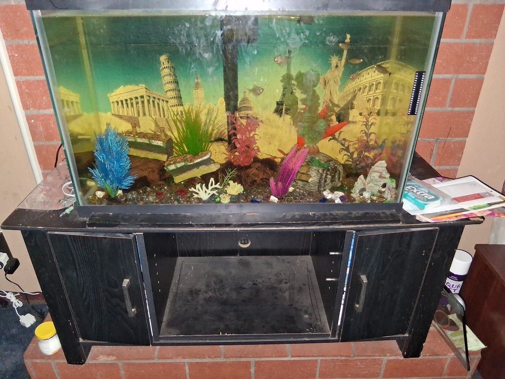 Fish Tankcomplete