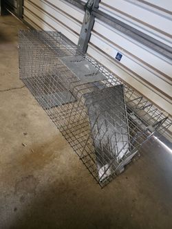 Animal trap