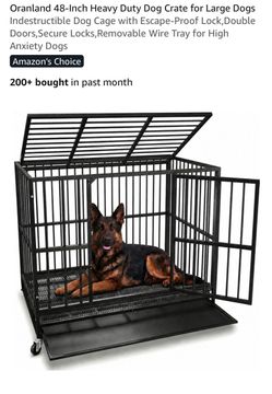 Large dog crate
