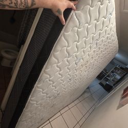 King Size Matters 