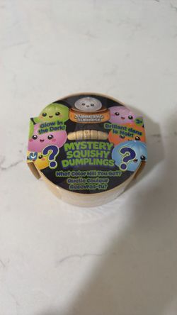 Mystery Squishy Dumplings - New in Box Sealed