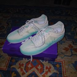 Baby blue/ white Nike SB ishod wair shoes