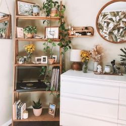 Shelf Bookcase