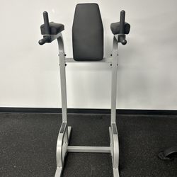 Body Solid Dip Machine 