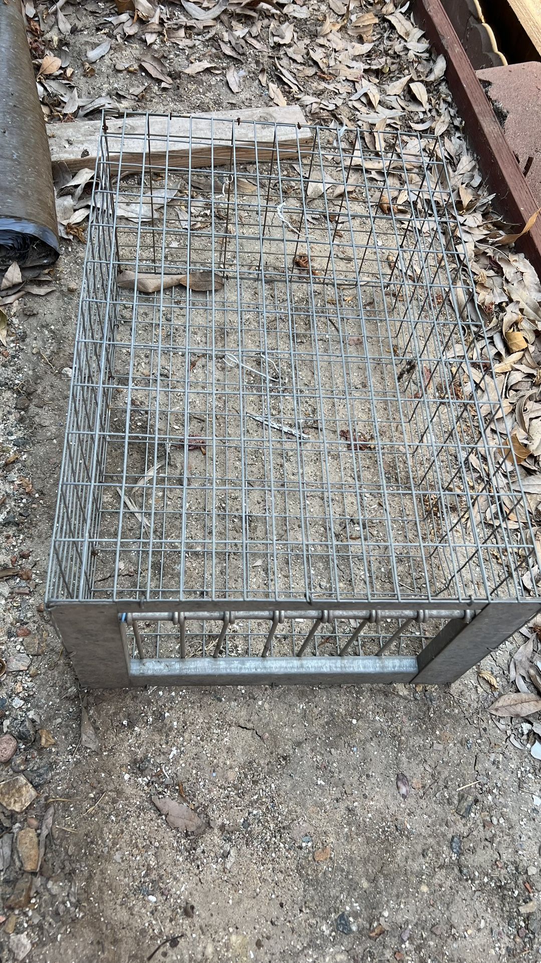 Bird / Pigeon Trap