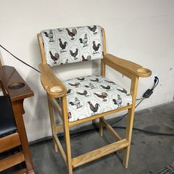 Pool Billiards Chairs