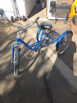 3 wheel beach cruiser