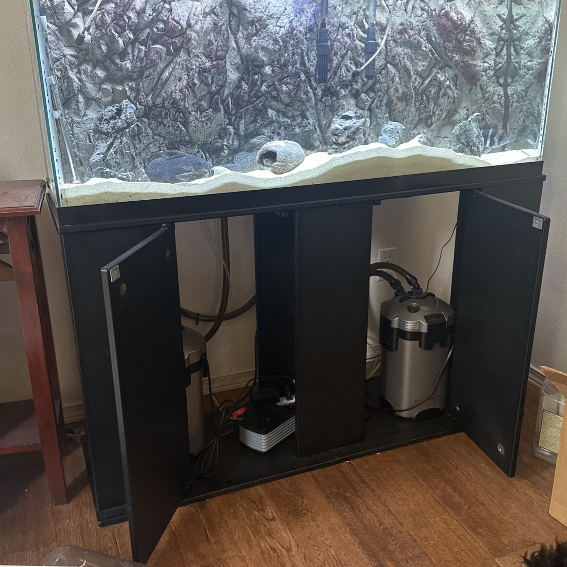 55 Gal Fish Tank 