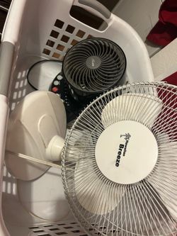 Free Fans