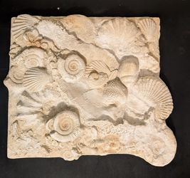 Carved Sandstone Ammonite Fossil Wall Sculpture