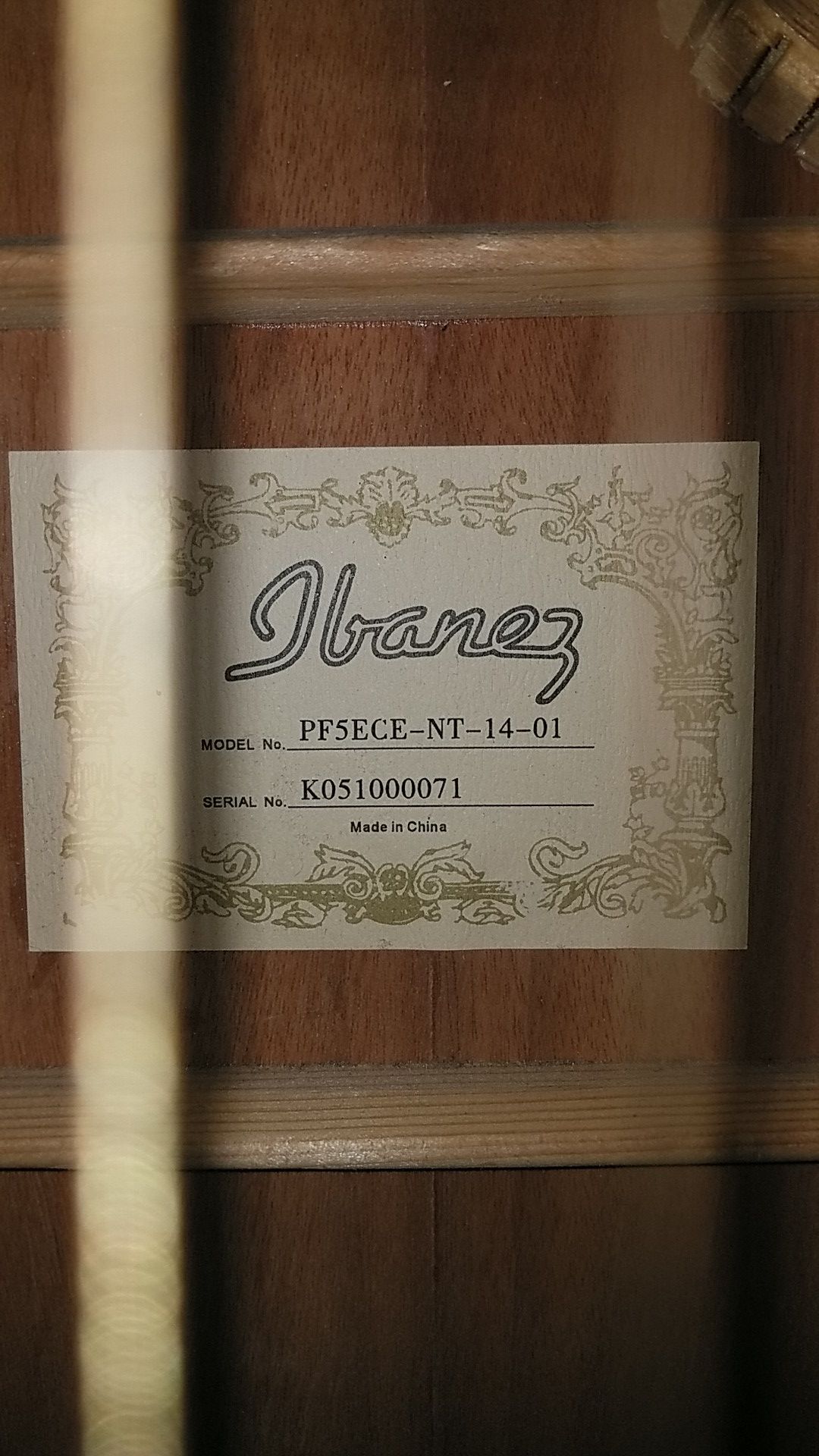 Ibanez pf5ece 2024
