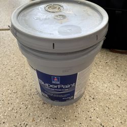 4gal Repose Grey Sherwin Williams Satin