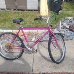 26" FlatlanderTimberlin