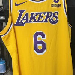 Brand New LeBron James Lakers Jersey
