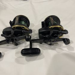 DAIWA SEALINE SL20sh Fishing Reel