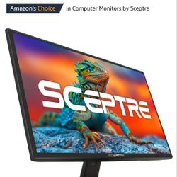 Sceptre 22" Monitor