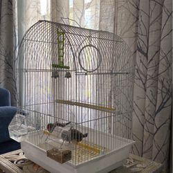 White Bird Cage 