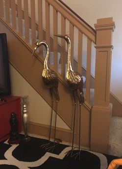 Standing birds