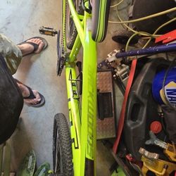 Backwoods Gt Mountain Bike 38 Inch