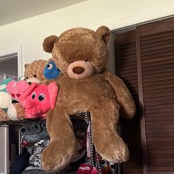 Very Big Teddy Bear 