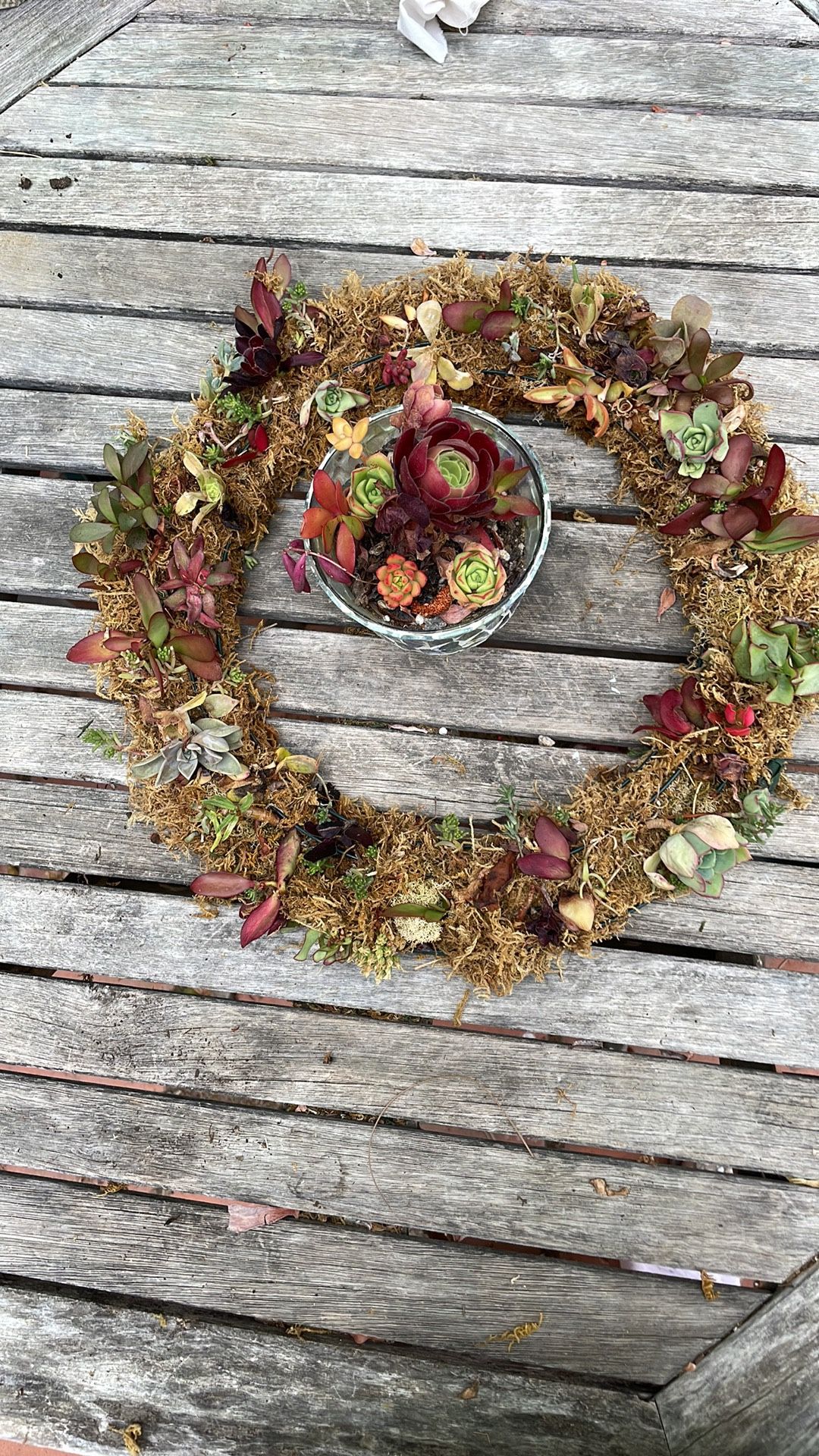 Live succulents, wreaths to hang or use as a centerpiece