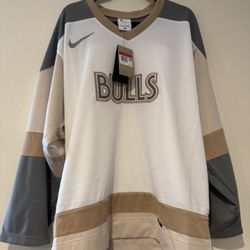 Nike Bulls Jersey Size Large Men New 