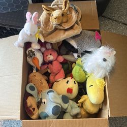 Stuffed Animals