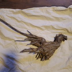 Enchanted forest bird