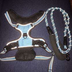 Size L Harness With Leash 
