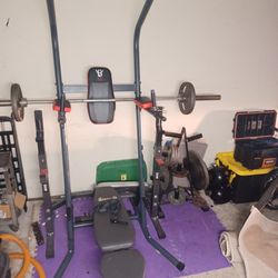 Bench Press And Pull Up Set With Weights