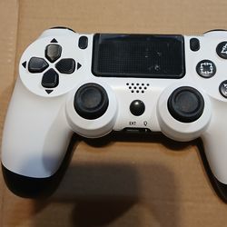 NEW PS4 Controller