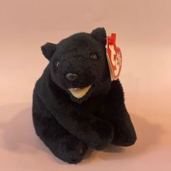 Cinders the Black Bear (RETIRED) 2000 Original Beanie Baby Ty Inc. NWT EUC 5”