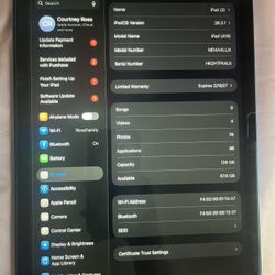 Blue iPad 