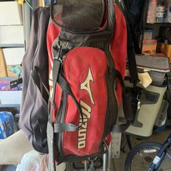 Baseball Bag 